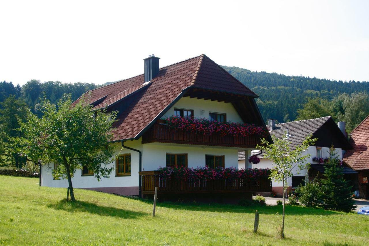 Ferienwohnung Seelbach  Exterior photo
