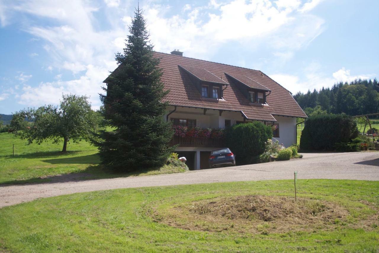 Ferienwohnung Seelbach  Exterior photo